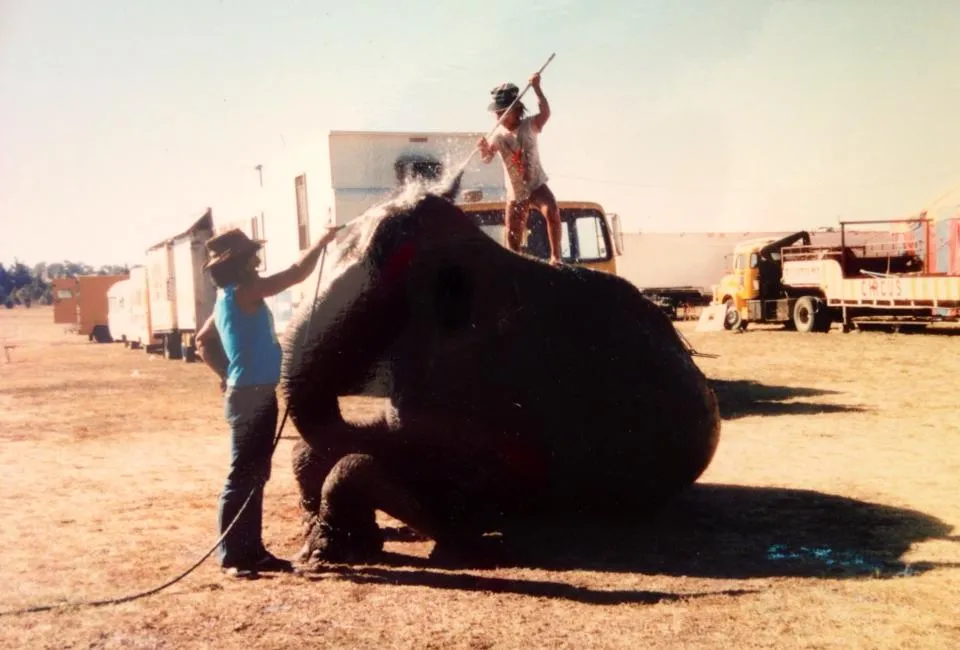 1002496 10152109986388864 1548139536 n